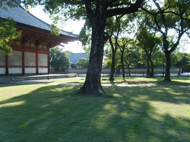 kyoto2007-1.jpg